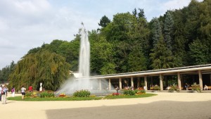 LL-fontana